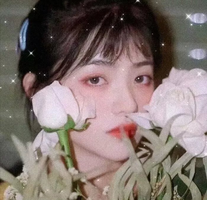 含苞待放