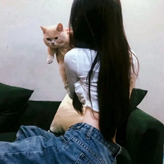 连环杀手的生活指南